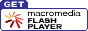 ShockwaveFlash